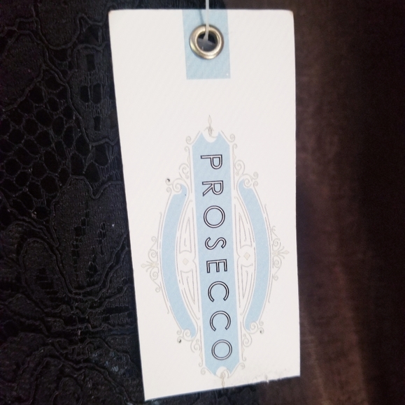 Prosecco Floral Lace Overlay Dress - Picture 8 of 9